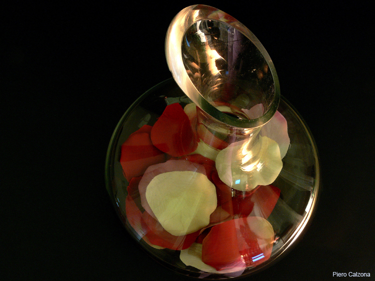 Still Life 01