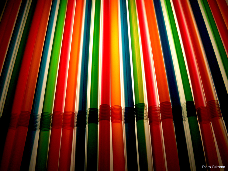 Still Life 18