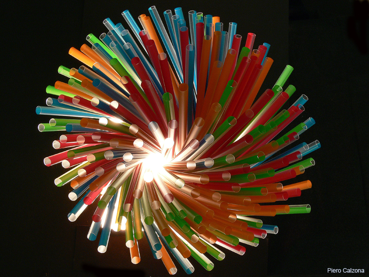 Still Life 19