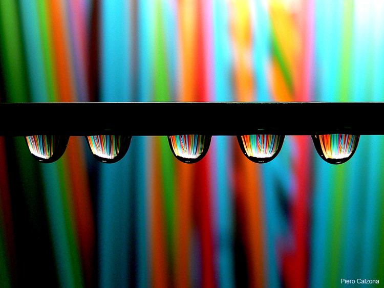 Still Life 27