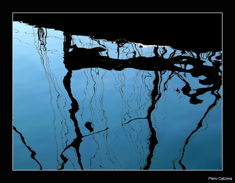 Reflected Reality 52