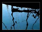 Reflected Reality 52