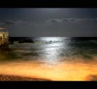 Nature and Fable 05