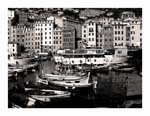 Porto di Camogli bn