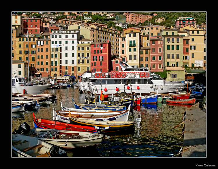 Porto di Camogli