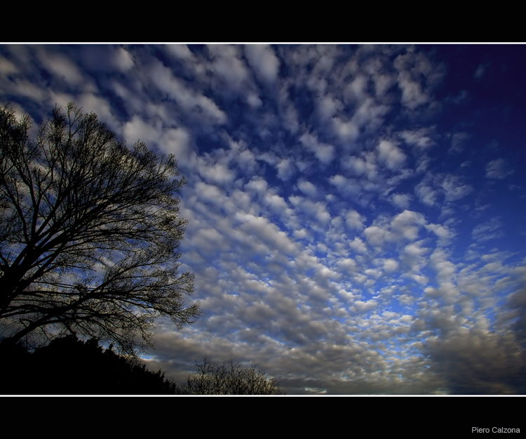 Painted Sky 4