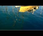 Reflected Reality 102