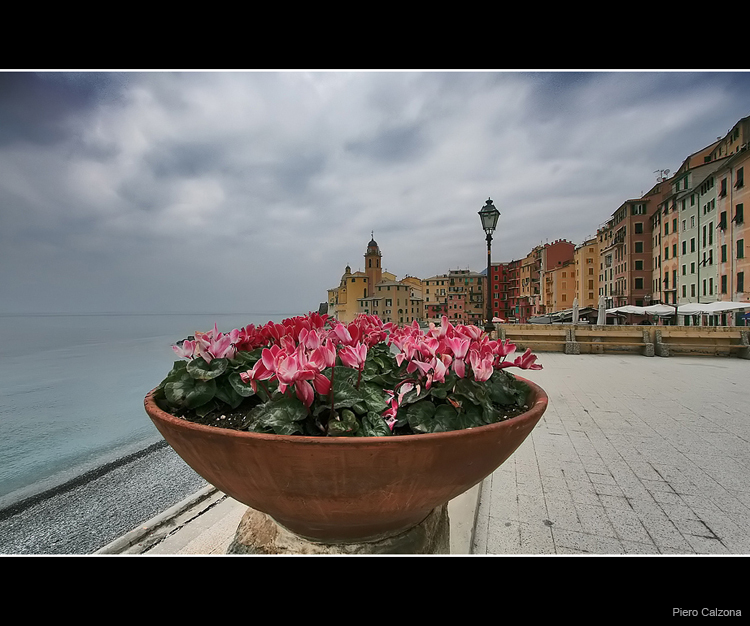 Camogli 05