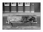 Disparità