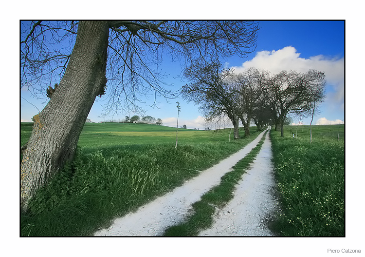 Country 04