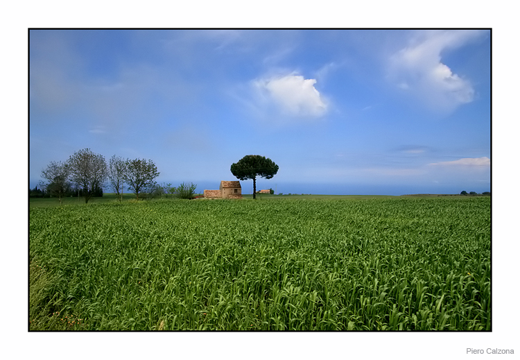 Country 05
