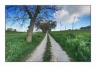 Country 03