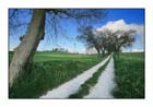Country 04
