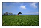 Country 05