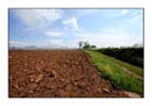 Country 09