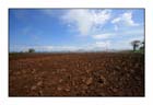 Country 10