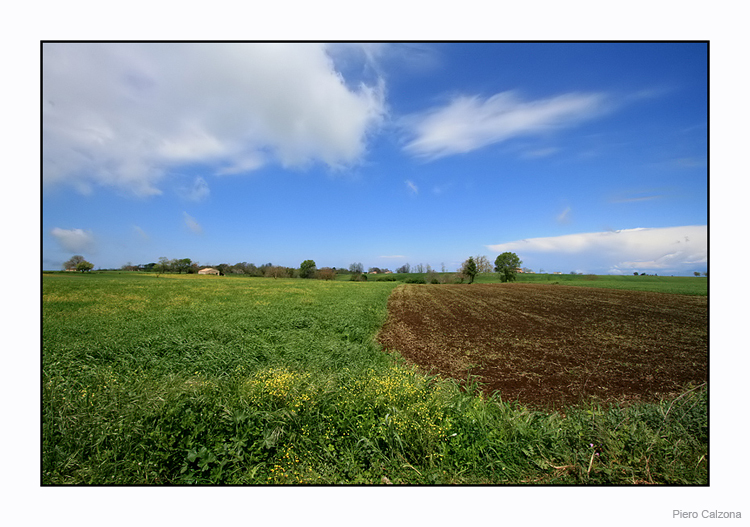 Country 33