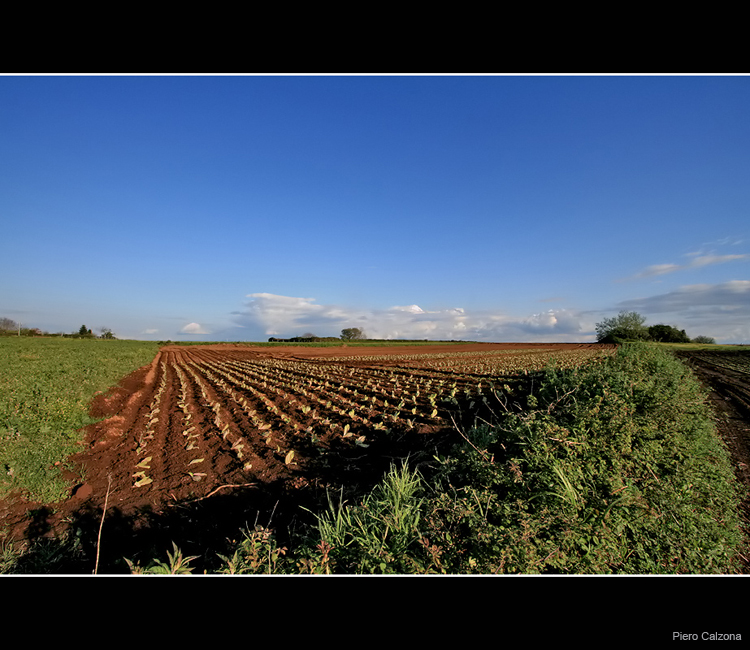 Terra Rossa 03