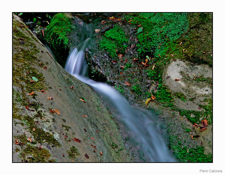 Ruscello