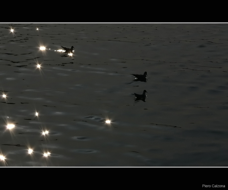 Soft Light
