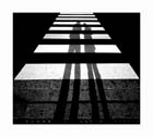 Shadows