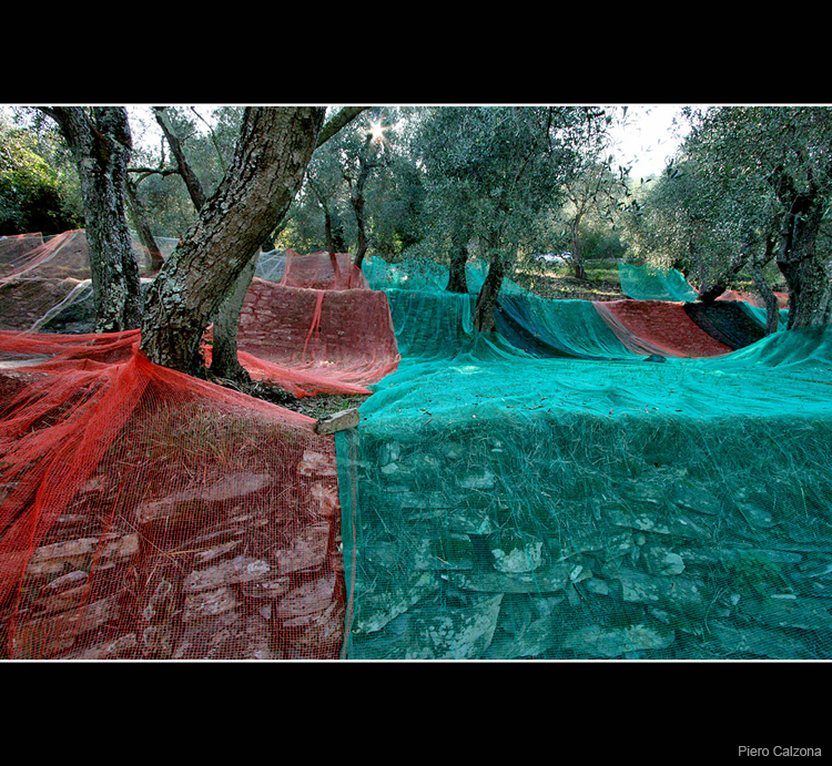 Autunno 02