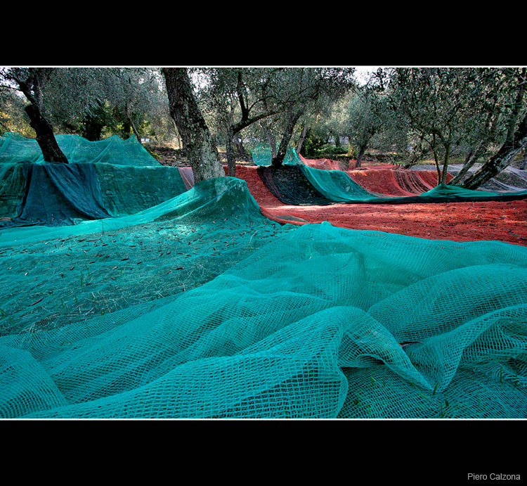 Autunno 03