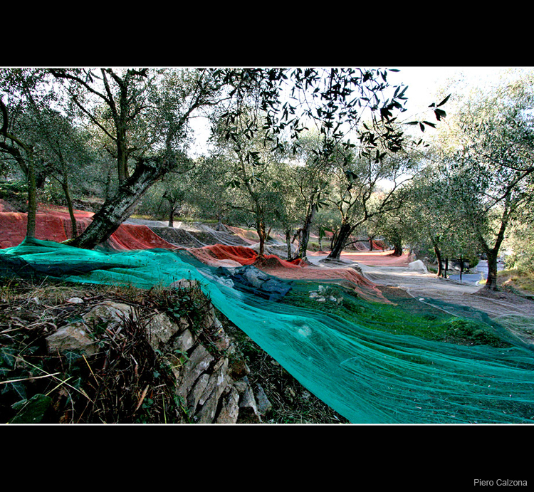 Autunno 06