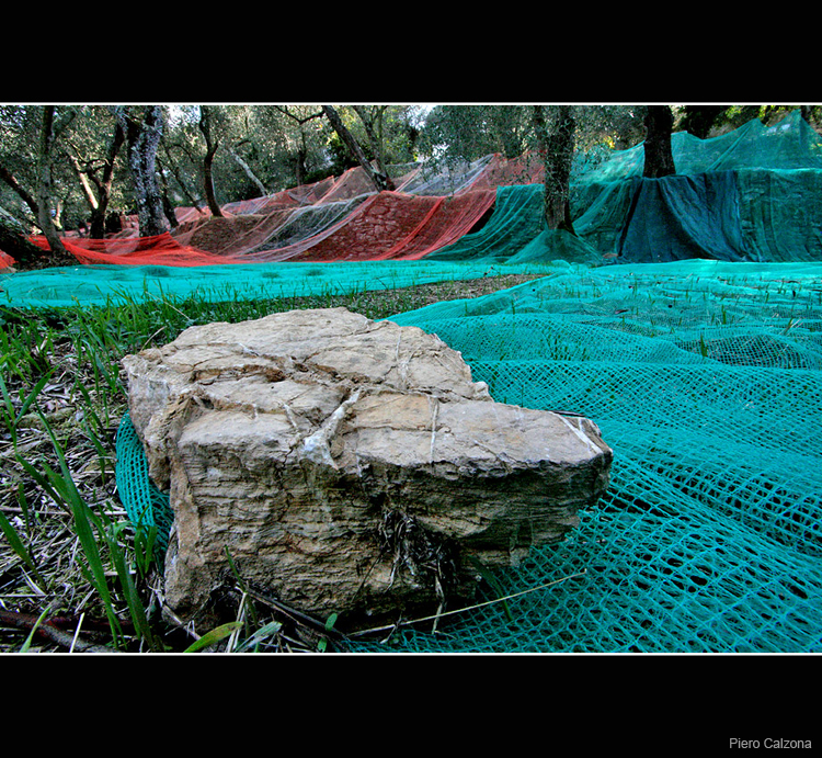 Autunno 07