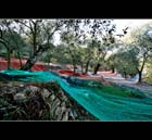 Autunno 06