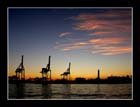 It is evening 02