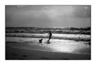 Mare 01