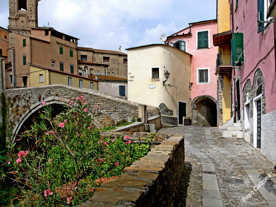 P1070483
