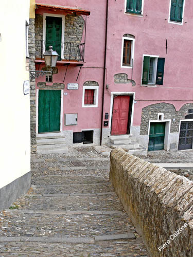 P1070460