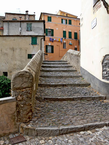P1070497
