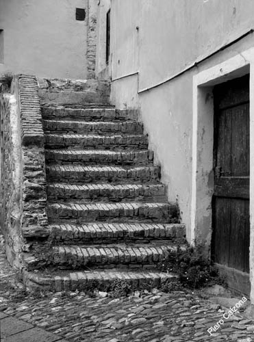 P1070507