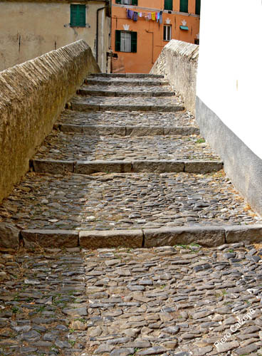P1070523