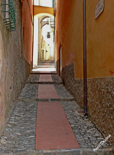 P1070532