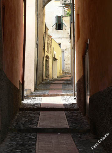 P1070534