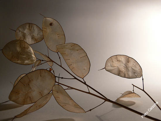 P1090903