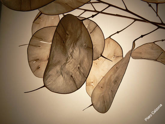 P1090911