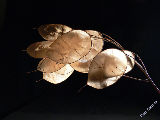 P1100888