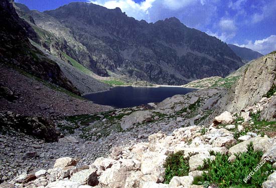 115-31