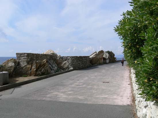 P1000046