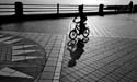 IMG_3882 bn