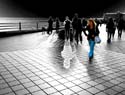 IMG_3964