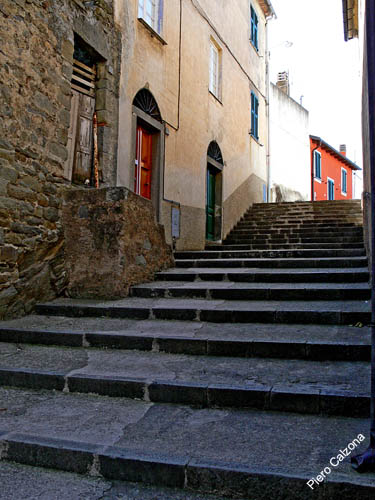 P1080739