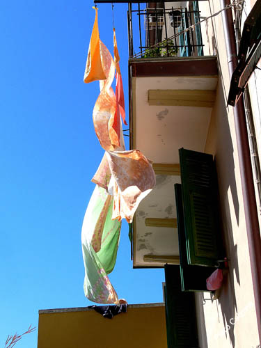 P1080807