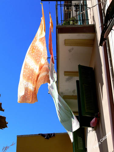 P1080810