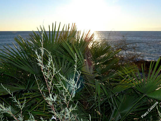 P1100349